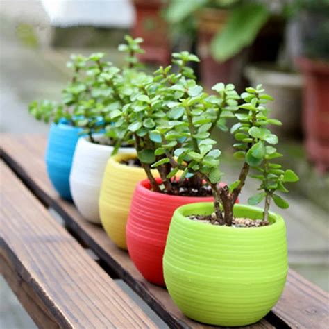 Online Get Cheap Decorative Indoor Flower Pots -Aliexpress.com ...