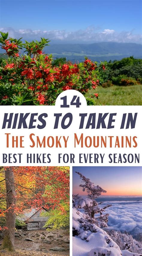 Hiking in the Smoky Mountains Seasonal Vacation Guide