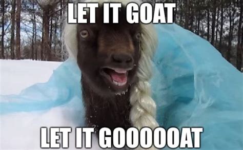 These Goat Memes Are the Greatest of All Time (25 Memes) | Goats funny ...