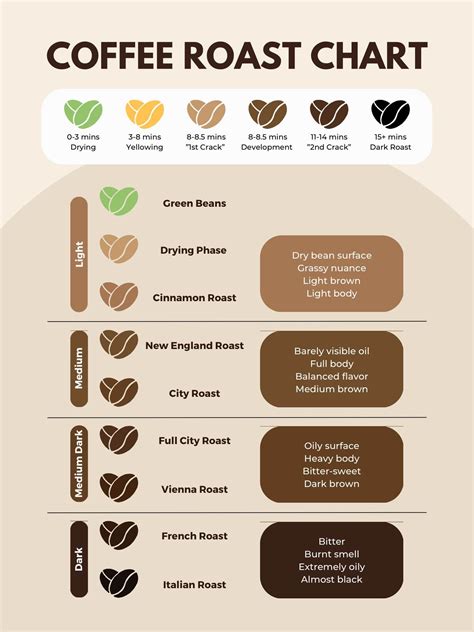 Be The Master! 4 Coffee Roasting Levels Chart: W/ Image & Guide - FnB ...