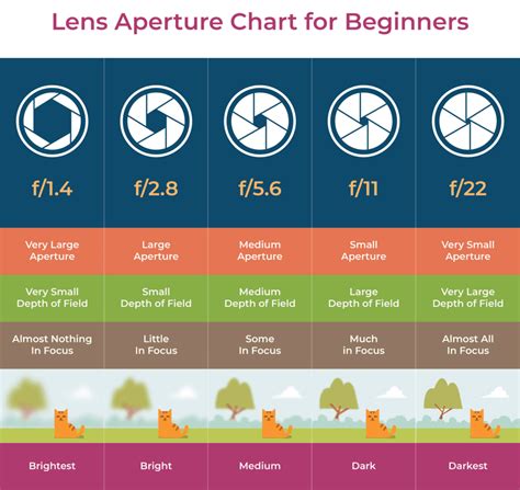 What is Aperture? Understanding Aperture in Photography