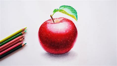 How to draw an apple - Step by step tutorial - Prismacolor pencils ...