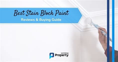 Best Stain Block Paint In 2024 (Reviews & Buying Guide)