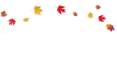 Autumn Leaves PNG Images Transparent Free Download