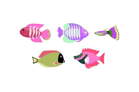 Animal Fish Design Graphic by Wawa Studio · Creative Fabrica