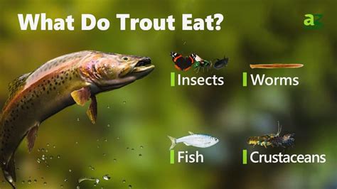 Is Lake Trout Healthy To Eat? Exploring Its Nutritional Benefits