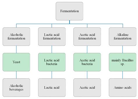 Fermentation | Free Full-Text | Quality Ingredients and Safety Concerns ...