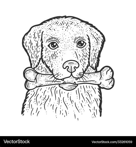 Dog with a bone in his teeth sketch Royalty Free Vector