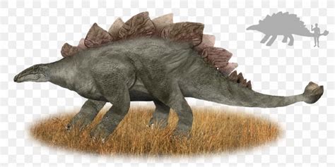 Muhuru Stegosaurus Cryptozoology Emela-ntouka Nguma-monene, PNG ...