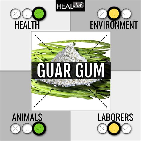 Guar Gum Benefits + Side Effects