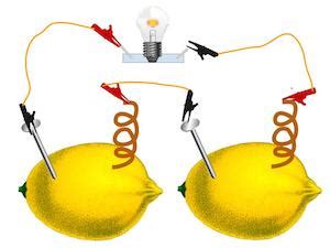 Lemon Light Bulb Science Fair Project | Decoratingspecial.com