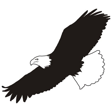 Bald eagle Clip art Image Silhouette - eagle png download - 2142*2332 ...