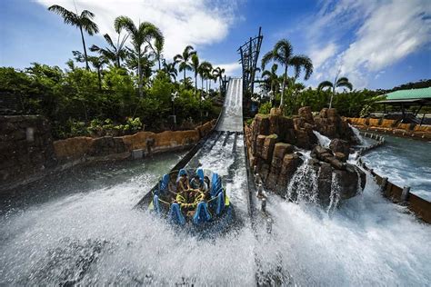 Best Rides at SeaWorld - The Top 10 Attractions at SeaWorld Orlando