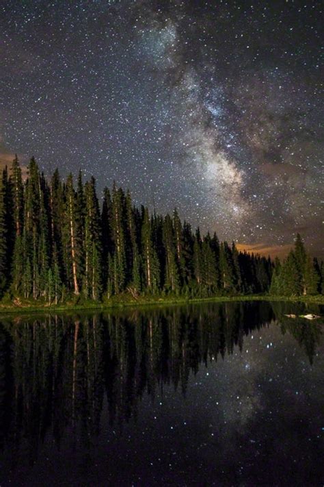 view lake forest stars nature | Forest photography, Beautiful nature ...