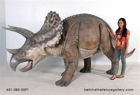 Triceratops Statue - Life Size Triceratops [DIN100048H] - $2,550.00 ...