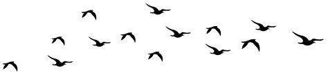 Free Flying Bird Silhouette Png, Download Free Flying Bird Silhouette ...