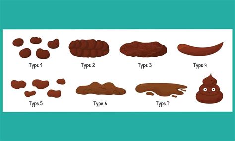 Cary Gastroenterology Associates | The Bristol Stool Chart: What Type…