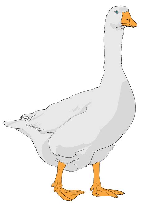 Grey goose logo transparent background - riloleaf