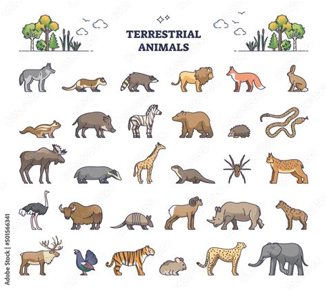 Terrestrial animals group as living species on land outline collection ...