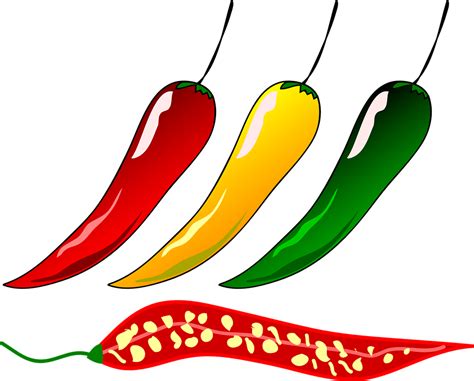 Chili Pepper · Free vector graphic on Pixabay