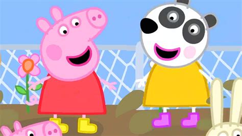 Peppa Pig Full Episodes | NEW Compilation 12 | Kids Videos - YouTube