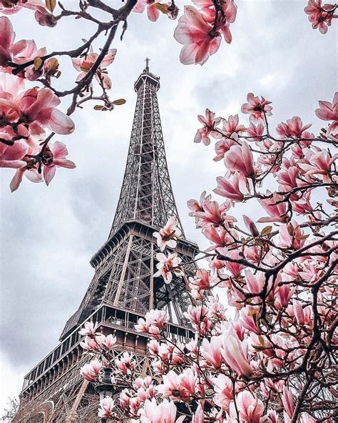 Paris, France, paris spring time HD phone wallpaper | Pxfuel