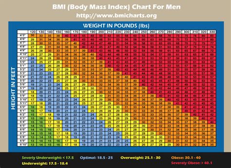 Body Mass Index: What is it Good For? By Our September Student ...