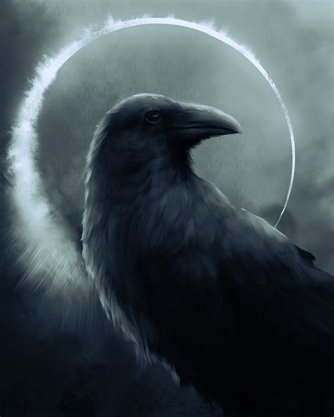 Birds, fantasy, raven, gothic, dark, lost, somewhere, crow, winter, HD ...