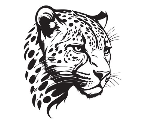 Leopard Face, Silhouettes Leopard Face, black and white Leopard vector ...