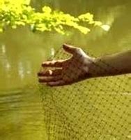 Pond Netting, Pond Covers | Pond Supplies from The Pond Outlet