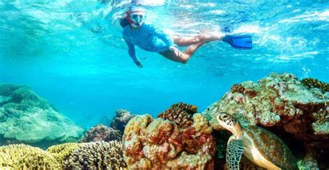 The BEST Santa Maria, Cape Verde Snorkeling 2023 - FREE Cancellation ...