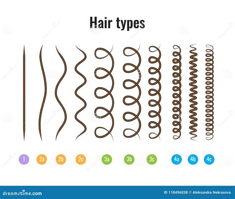 Top 48 image different types of hair - Thptnganamst.edu.vn