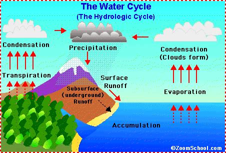 The Water Cycle - Enchanted Learning