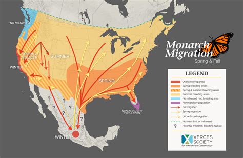 Western Monarch Biology | Western Monarch Milkweed Mapper