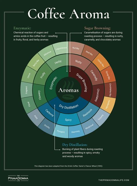 An abridged version of the coffee tasting wheel, where we break down ...