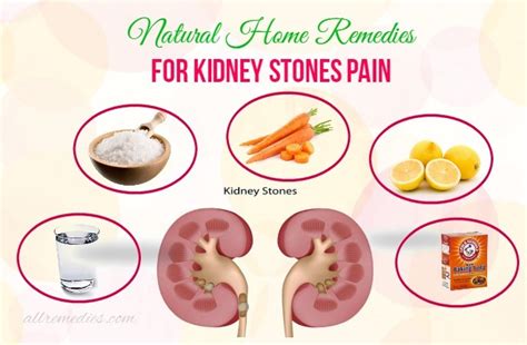 49 Top Images Kidney Stones In Cats Home Remedy : 7 Incredible Kidney ...