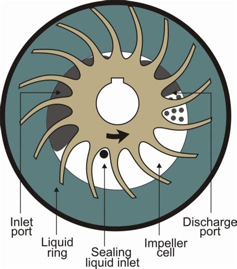 Considering an Oil-sealed Liquid Ring Vacuum Pump System? - JHFOSTER