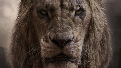 36+ Lion King 4K Iphone Wallpaper