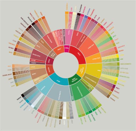 Coffee and the senses: Aroma and flavour descriptors