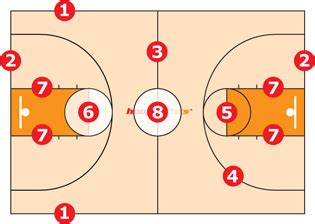 Court Lines & Areas