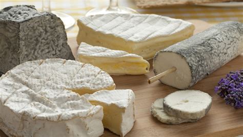 ANSES identifies main hazards in raw milk cheeses; E. coli infections ...