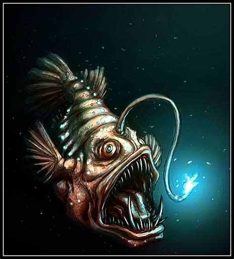 Angler Fish Anatomy - Anatomy Book