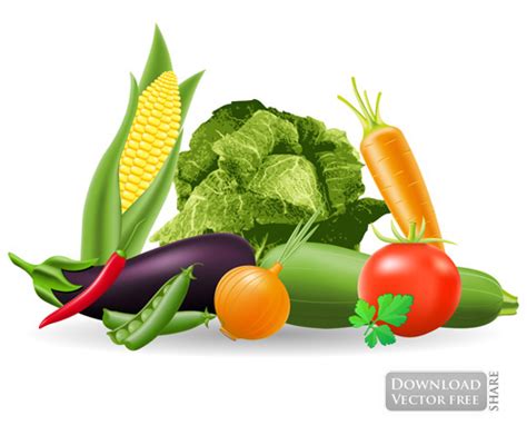 Rau củ quả sạch vegetables vector 2743 ~ MrPixelVn - Chia sẻ Đồ họa ...