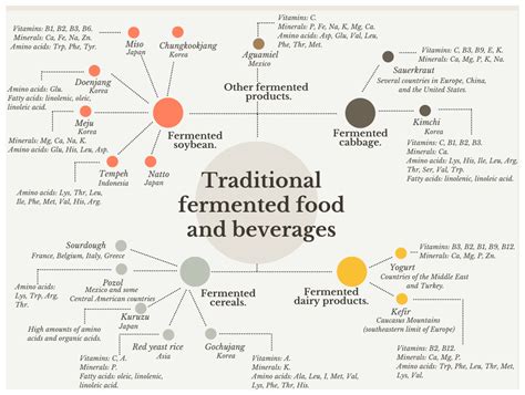 Fermentation | Free Full-Text | Nutritional Contributions and Health ...