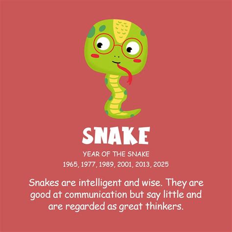 Year of the Snake, 2023 Horoscope Predictions and Personality | Year of ...