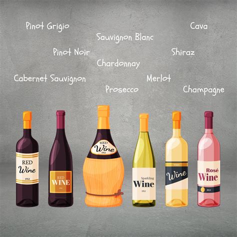 Your Basic Guide to Different Wine Types – VINO.PH