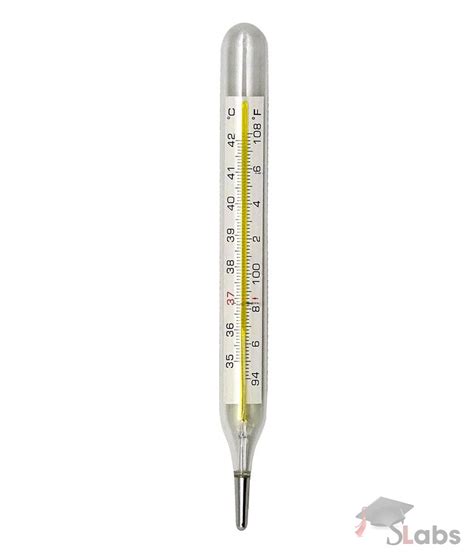 Clinical Thermometer - Scholars Labs