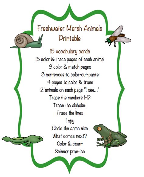 Freshwater Marsh Animals Printable ~ Preschool Printables