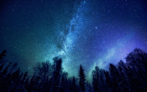 trees, Nature, Stars, Milky Way Wallpapers HD / Desktop and Mobile ...