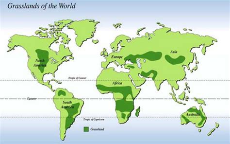 Grassland Biome Map